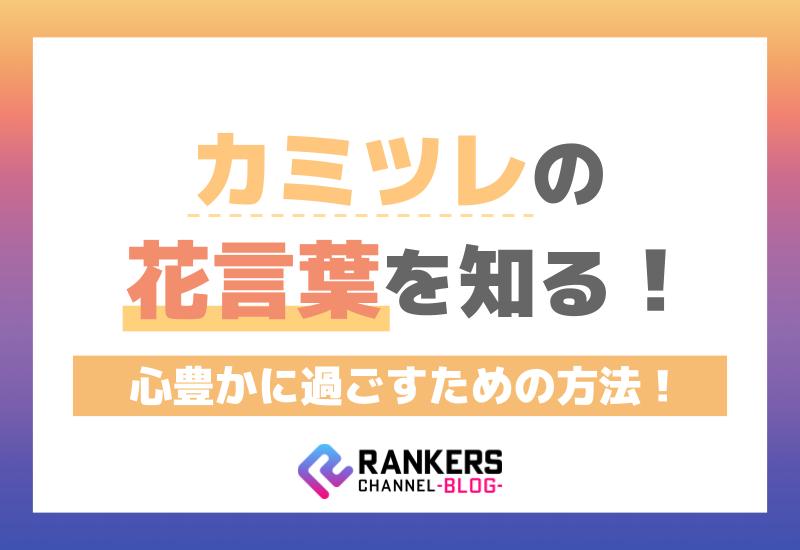 カミツレの花言葉を知る！心豊かに過ごすための方法