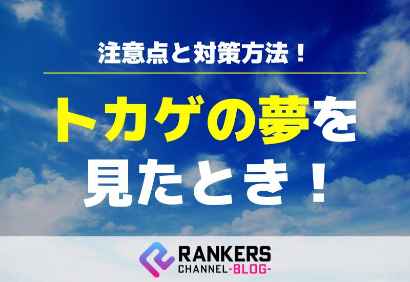 トカゲの夢を見たときの注意点と対策方法！